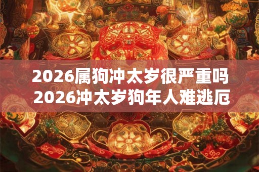 2026属狗冲太岁很严重吗 2026冲太岁狗年人难逃厄运