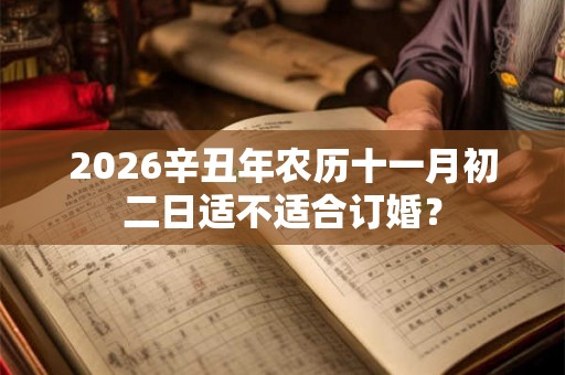 2026辛丑年农历十一月初二日适不适合订婚？