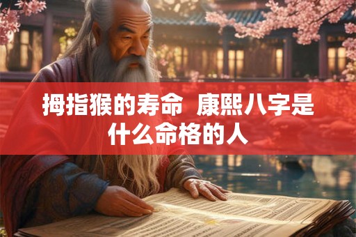 拇指猴的寿命 康熙八字是什么命格的人 拇指猴的寿命 康熙八字是什么命格的人