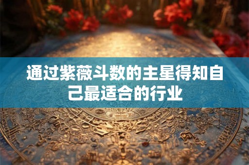 通过紫薇斗数的主星得知自己最适合的行业