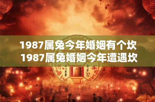 1987属兔今年婚姻有个坎 1987属兔婚姻今年遭遇坎坷 1987属兔今年婚姻有个坎 1987属兔婚姻今年遭遇坎坷