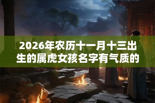 2026年农历十一月十三出生的属虎女孩名字有气质的