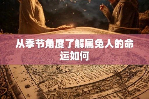 从季节角度了解属兔人的命运如何