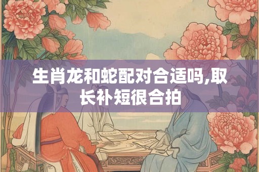 生肖龙和蛇配对合适吗,取长补短很合拍