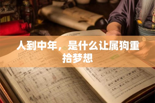 人到中年,是什么让属狗重拾梦想 人到中年,是什么让属狗重拾梦想