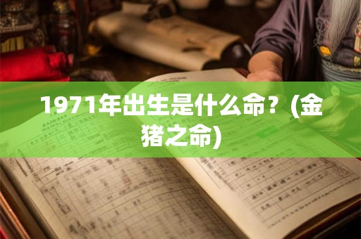 1971年出生是什么命？(金猪之命)