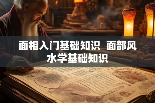 面相入门基础知识 面部风水学基础知识 面相入门基础知识 面部风水学基础知识