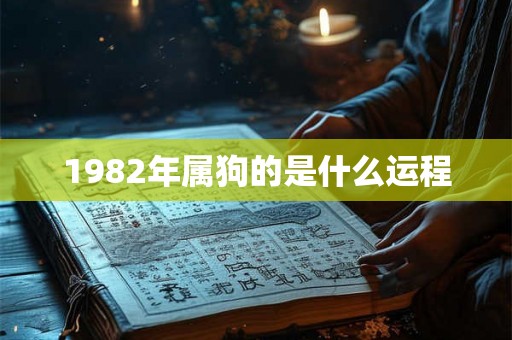 1982年属狗的是什么运程