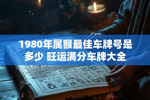 1980年属猴最佳车牌号是多少 旺运满分车牌大全