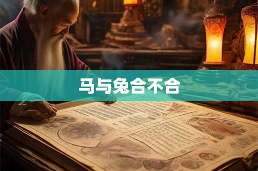 马与兔合不合