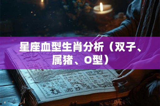 星座血型生肖分析（双子、属猪、O型）