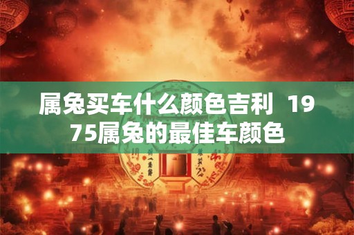 属兔买车什么颜色吉利  1975属兔的最佳车颜色