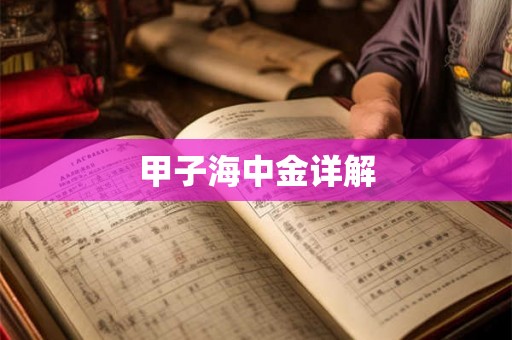 甲子海中金详解