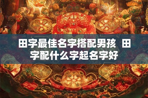 田字最佳名字搭配男孩  田字配什么字起名字好