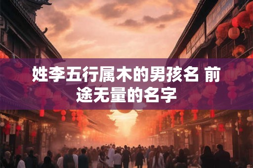 姓李五行属木的男孩名 前途无量的名字