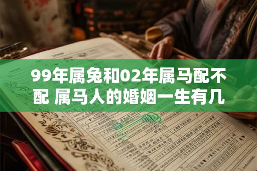 99年属兔和02年属马配不配 属马人的婚姻一生有几次