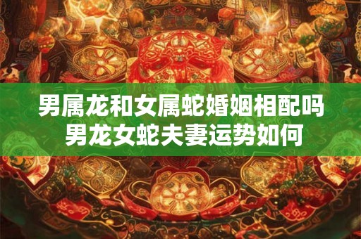 男属龙和女属蛇婚姻相配吗 男龙女蛇夫妻运势如何