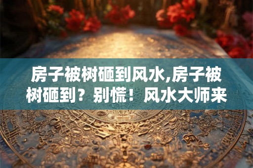 房子被树砸到风水,房子被树砸到？别慌！风水大师来破解！