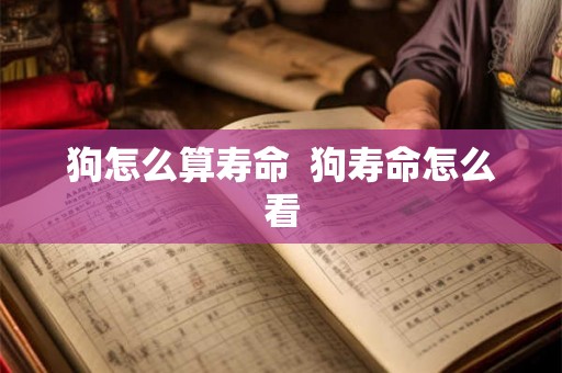 狗怎么算寿命  狗寿命怎么看