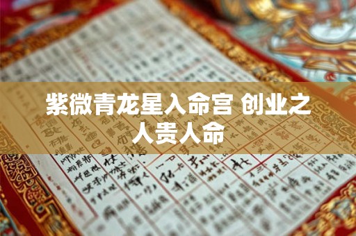 紫微青龙星入命宫 创业之人贵人命