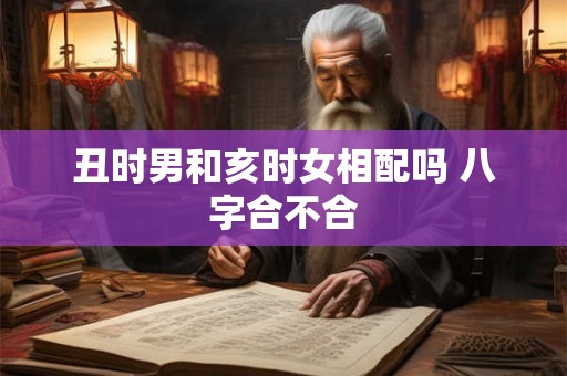 丑时男和亥时女相配吗 八字合不合