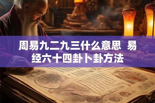 周易九二九三什么意思  易经六十四卦卜卦方法