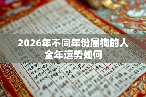 2026年不同年份属狗的人全年运势如何 2026年不同年份属狗的人全年运势如何