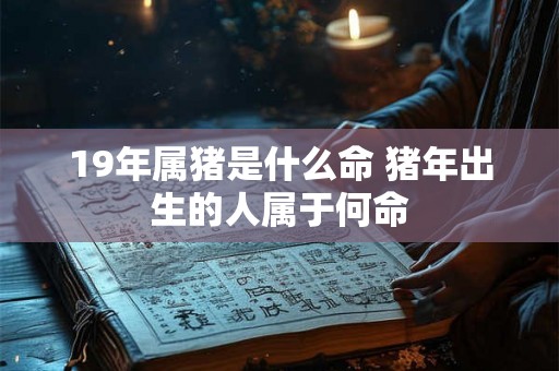 19年属猪是什么命 猪年出生的人属于何命