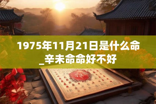 1975年11月21日是什么命_辛未命命好不好