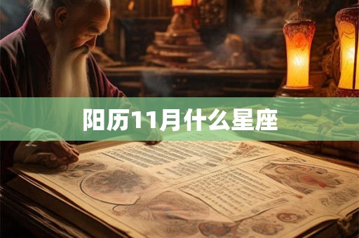 阳历11月什么星座