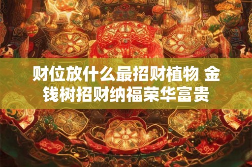 财位放什么最招财植物 金钱树招财纳福荣华富贵