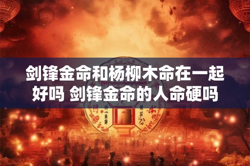剑锋金命和杨柳木命在一起好吗 剑锋金命的人命硬吗 剑锋金命和杨柳木命在一起好吗 剑锋金命的人命硬吗