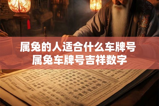 属兔的人适合什么车牌号 属兔车牌号吉祥数字