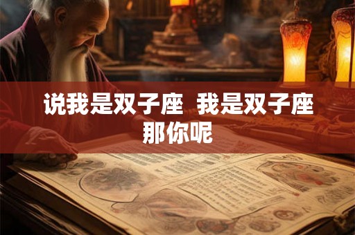说我是双子座 我是双子座那你呢 说我是双子座 我是双子座那你呢