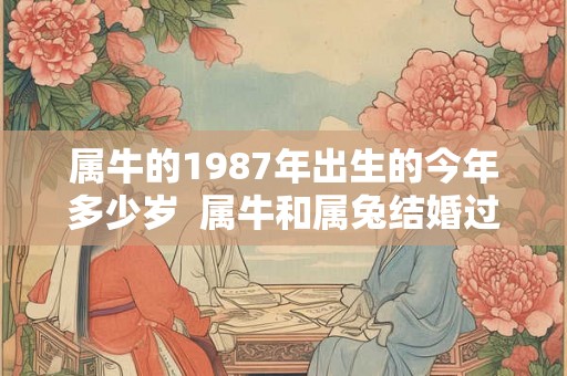 属牛的1987年出生的今年多少岁  属牛和属兔结婚过得好不好