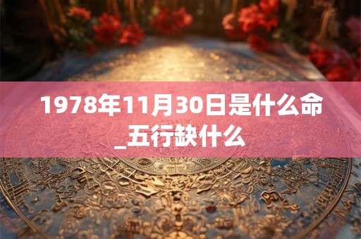 1978年11月30日是什么命_五行缺什么