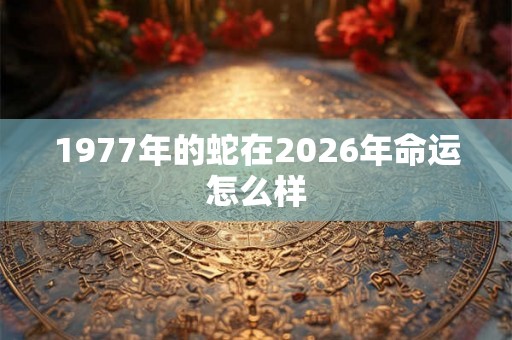 1977年的蛇在2026年命运怎么样