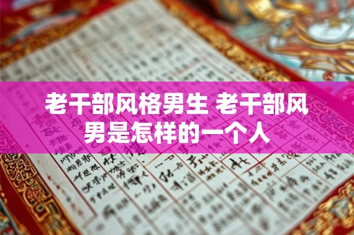 老干部风格男生 老干部风男是怎样的一个人