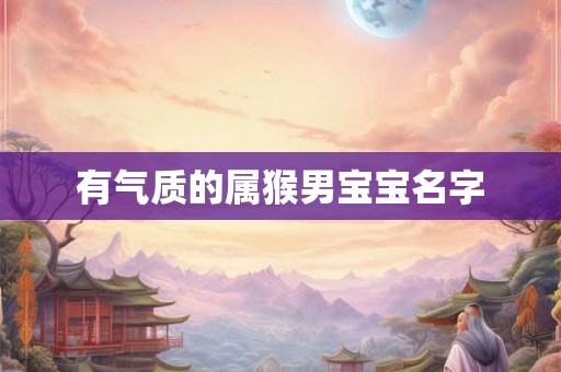 有气质的属猴男宝宝名字 有气质的属猴男宝宝名字
