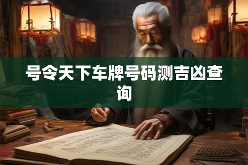 号令天下车牌号码测吉凶查询