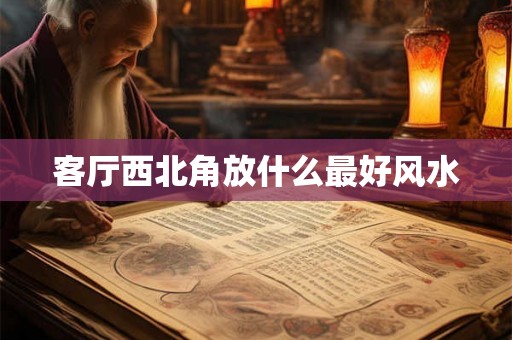 客厅西北角放什么最好风水 客厅西北角放什么最好风水