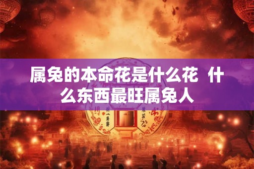 属兔的本命花是什么花  什么东西最旺属兔人