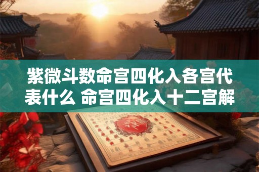 紫微斗数命宫四化入各宫代表什么 命宫四化入十二宫解释 紫微斗数命宫四化入各宫代表什么 命宫四化入十二宫解释
