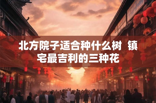 北方院子适合种什么树  镇宅最吉利的三种花