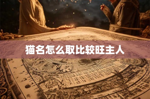 猫名怎么取比较旺主人