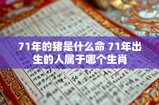 71年的猪是什么命 71年出生的人属于哪个生肖