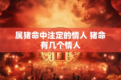 属猪命中注定的情人 猪命有几个情人