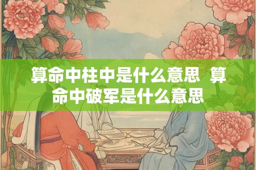 算命中柱中是什么意思  算命中破军是什么意思