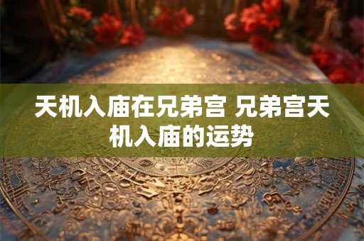 天机入庙在兄弟宫 兄弟宫天机入庙的运势