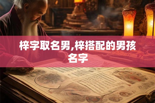梓字取名男,梓搭配的男孩名字